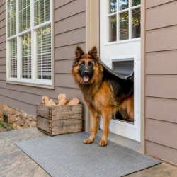 PetSafe® Extreme Weather Aluminium Pet Door-XL