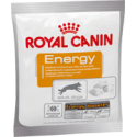 Royal Canin ENERGY