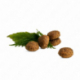 Happy Cat Sensitive Schonkost Niere / Ledviny 4 kg