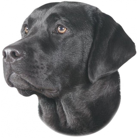 Nálepka Labrador čierny