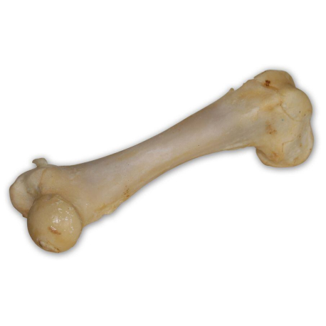 Vepřová kost bílá - extrudovaná 1 ks/17 cm