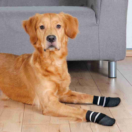 Protiskluzové ponožky pro psy, 2 ks, bavlna/lycra, černá