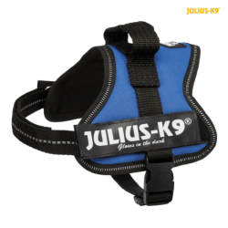 Julius-K9 silový postroj Mini-Mini/XS 40-53 cm/22 mm  - modrá