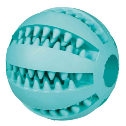 DentaFun míč s mátou 5 cm TRIXIE